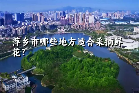 萍乡市哪些地方适合采摘鲜花？