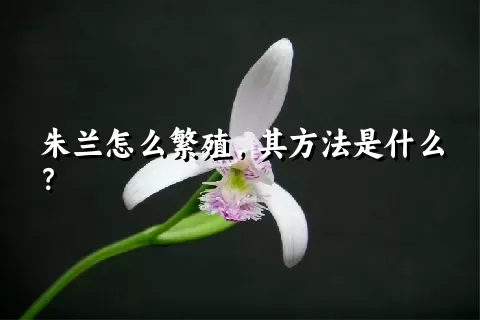 朱兰怎么繁殖，其方法是什么？