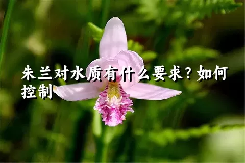 朱兰对水质有什么要求？如何控制