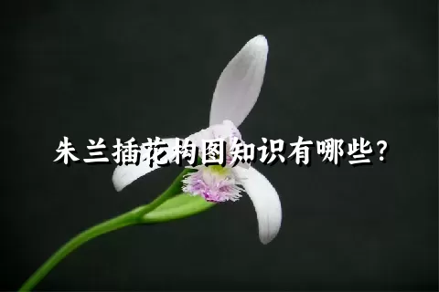 朱兰插花构图知识有哪些？