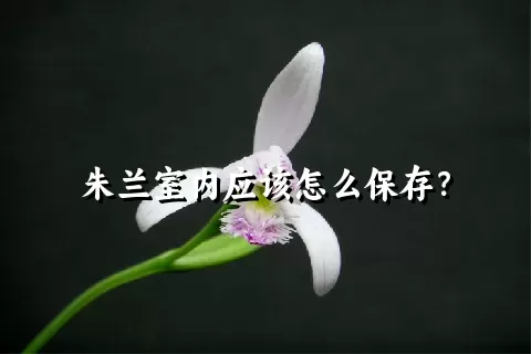 朱兰室内应该怎么保存？