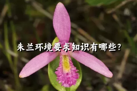 朱兰环境要求知识有哪些？