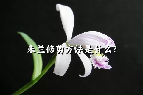 朱兰修剪方法是什么？