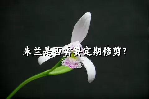 朱兰是否需要定期修剪？