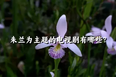 朱兰为主题的电视剧有哪些？