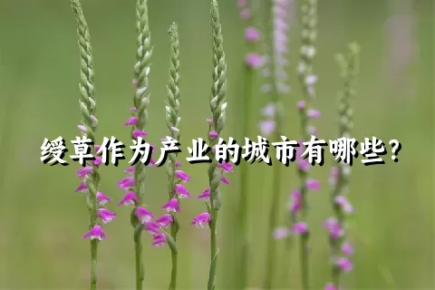 绶草作为产业的城市有哪些？