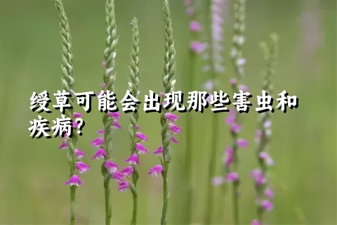 绶草可能会出现那些害虫和疾病？