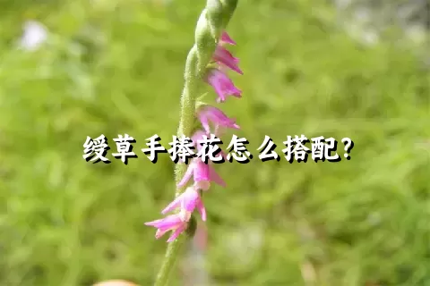 绶草手捧花怎么搭配？