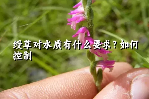 绶草对水质有什么要求？如何控制