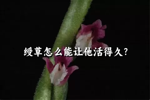 绶草怎么能让他活得久？