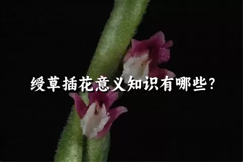 绶草插花意义知识有哪些？