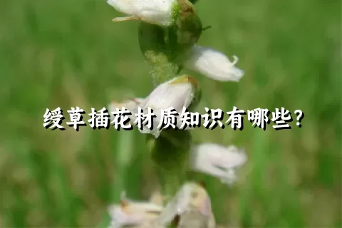 绶草插花材质知识有哪些？