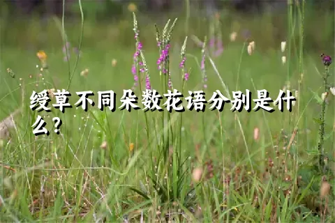 绶草不同朵数花语分别是什么？