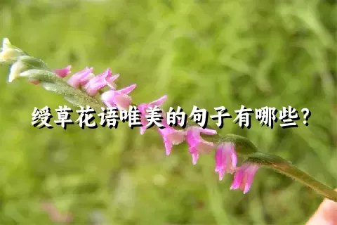 绶草花语唯美的句子有哪些？