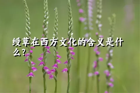 绶草在西方文化的含义是什么？