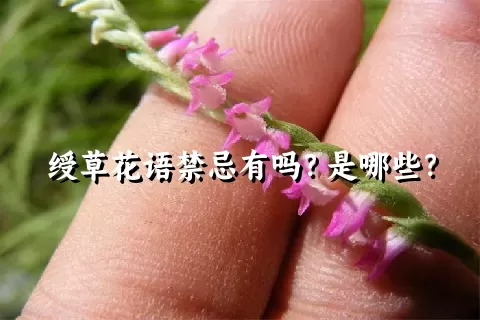 绶草花语禁忌有吗？是哪些？