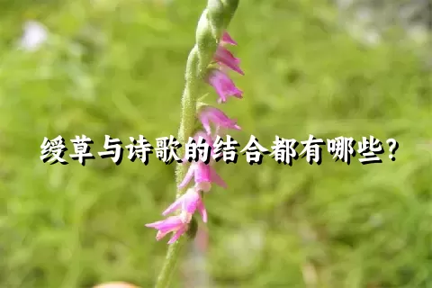 绶草与诗歌的结合都有哪些？