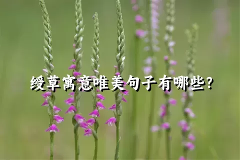 绶草寓意唯美句子有哪些？