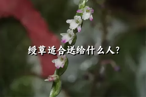 绶草适合送给什么人？