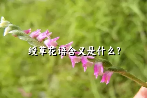 绶草花语含义是什么？