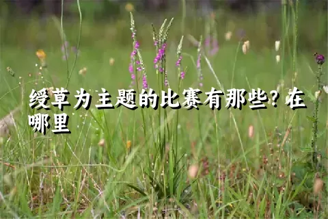 绶草为主题的比赛有那些？在哪里