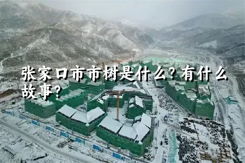 张家口市市树是什么？有什么故事？