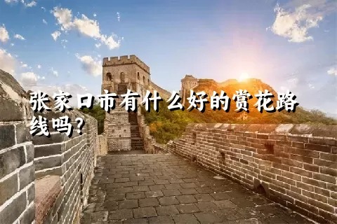 张家口市有什么好的赏花路线吗？