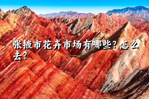 张掖市花卉市场有哪些？怎么去？