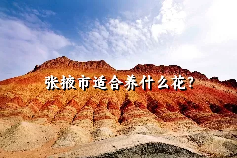 张掖市适合养什么花？