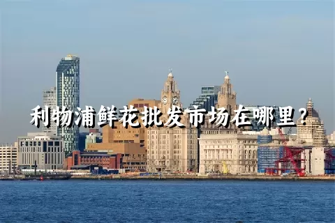 利物浦鲜花批发市场在哪里？