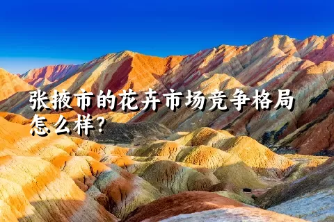 张掖市的花卉市场竞争格局怎么样？