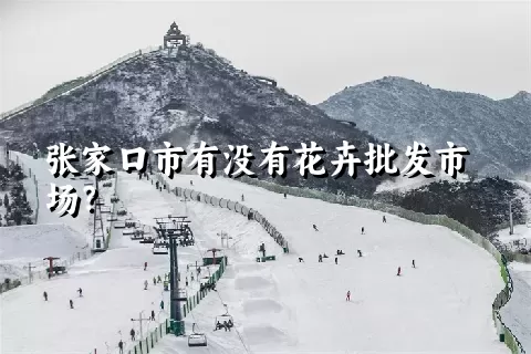 张家口市有没有花卉批发市场？