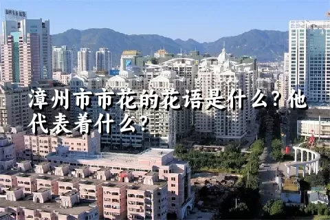 漳州市市花的花语是什么？他代表着什么？