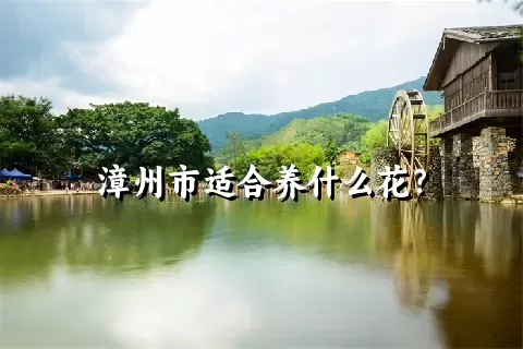 漳州市适合养什么花？