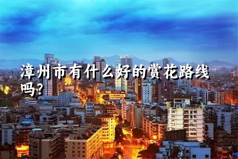 漳州市有什么好的赏花路线吗？