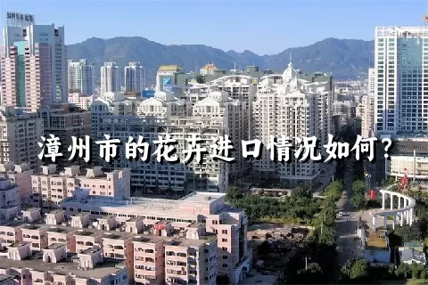 漳州市的花卉进口情况如何？