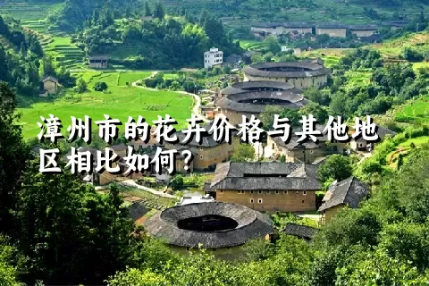 漳州市的花卉价格与其他地区相比如何？