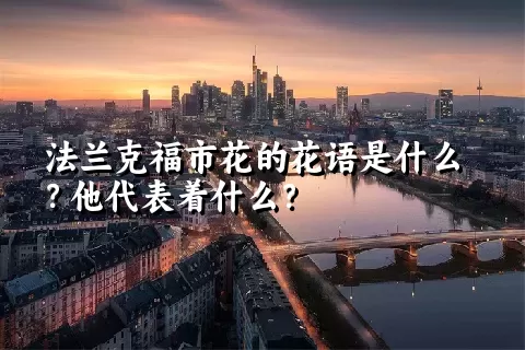 法兰克福市花的花语是什么？他代表着什么？