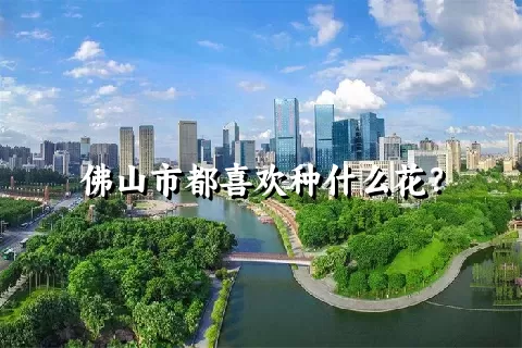 佛山市都喜欢种什么花？