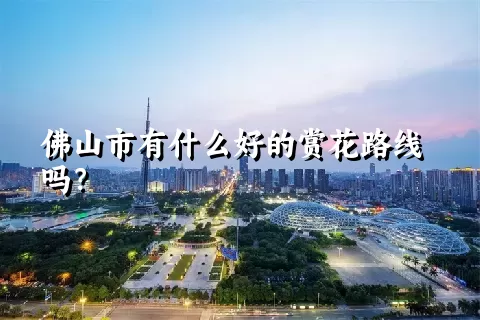 佛山市有什么好的赏花路线吗？