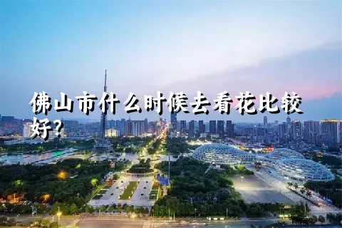 佛山市什么时候去看花比较好？