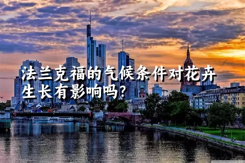 法兰克福的气候条件对花卉生长有影响吗？