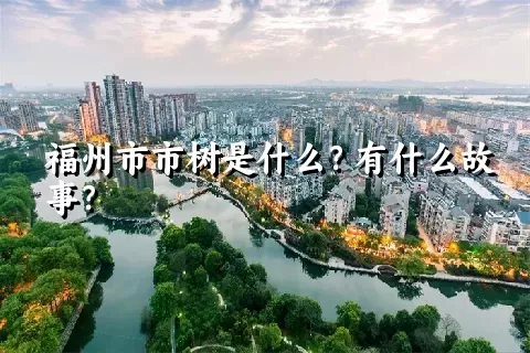 福州市市树是什么？有什么故事？