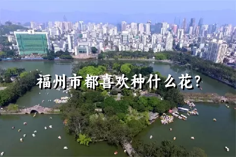 福州市都喜欢种什么花？