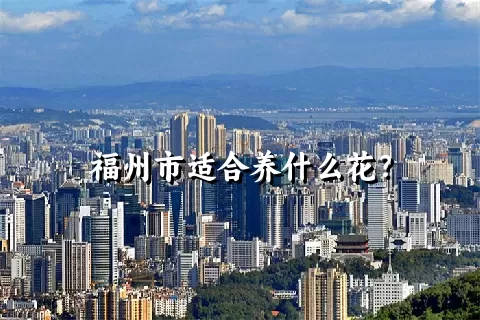 福州市适合养什么花？