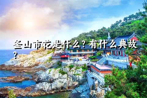 釜山市花是什么？有什么典故？