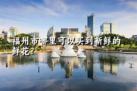 福州市哪里可以买到新鲜的鲜花？