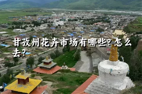 甘孜州花卉市场有哪些？怎么去？