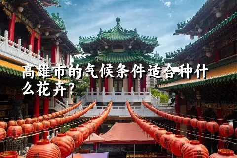 高雄市的气候条件适合种什么花卉？