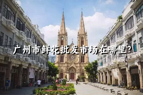 广州市鲜花批发市场在哪里？